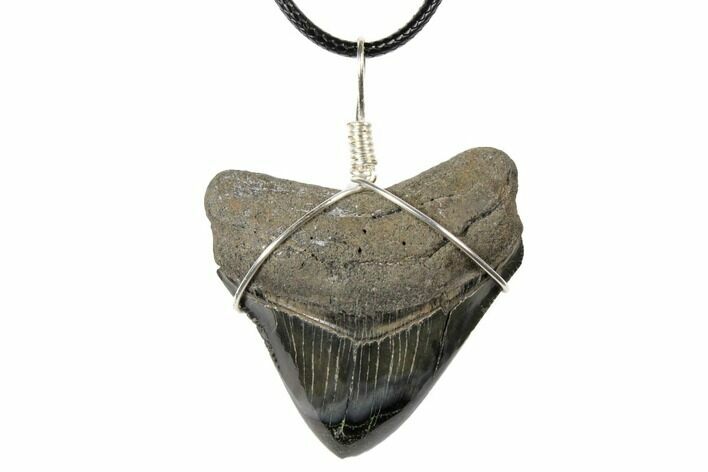 Fossil Megalodon Tooth Necklace #130958